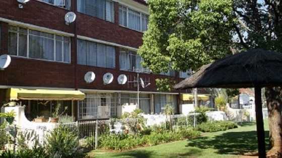 1 Bedroom flat in Steve Biko Rd to rent