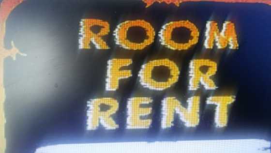 1 Room to rent