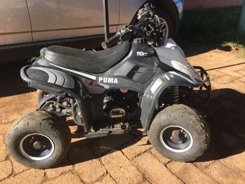 110cc Orion Puma Kiddies Quad