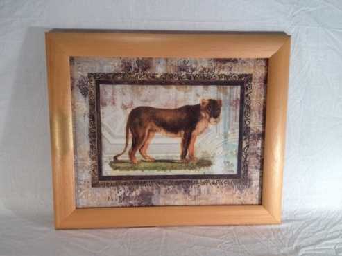 1510-86 Lioness print in frame