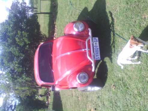 1600 vw beetle for sale