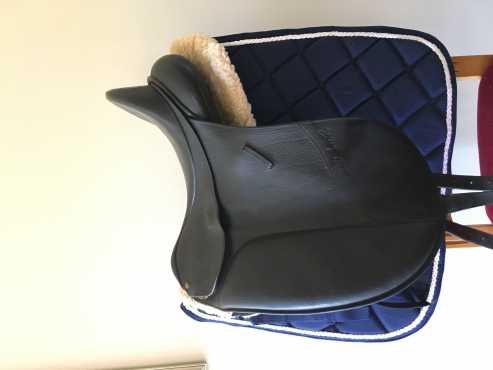 16.5quot Bates Isabell Werth dressage saddle