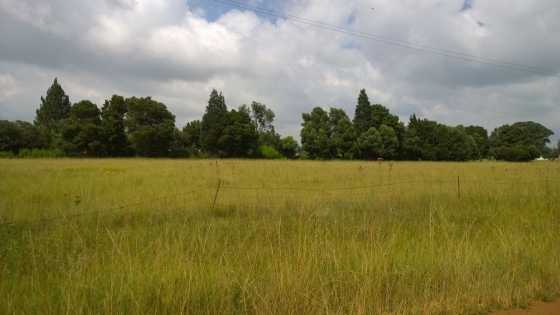 1.7 ha Vacant land in Rietkol Delmas