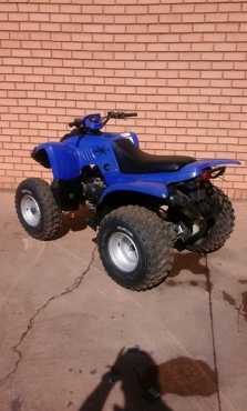 175cc quad bike blue 2010 model