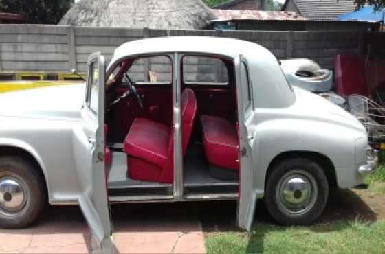 1953 Rover 75 P4 for restoration