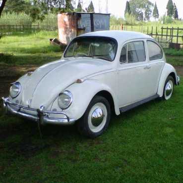 1965 Volkswagen 1300 Beetle