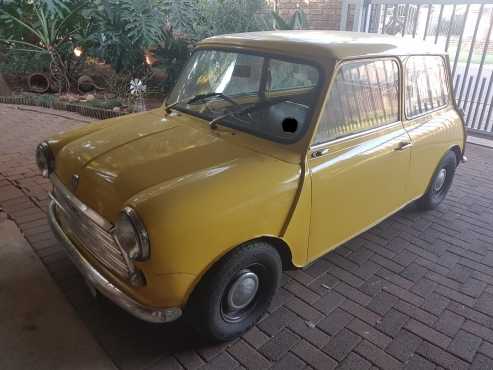 1972 Bull Nose Mini