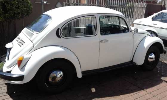 1972 Vw Beetle