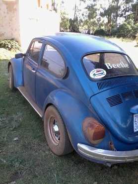 1974 beetle te koop