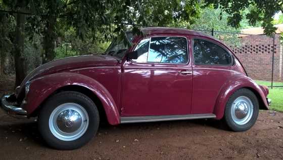 1976 1600 VW Beetle - Rebuilt