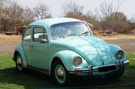 1976 VW Beetle