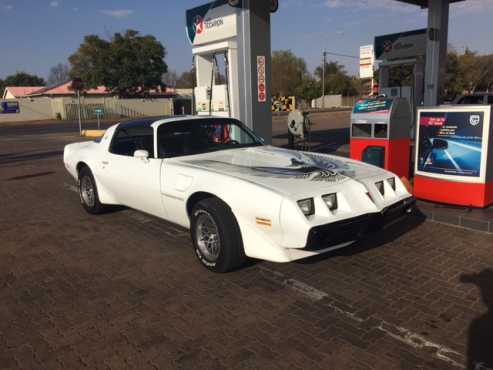 1980 Pontiac Transam.......................(corvette , camaro , mustang )