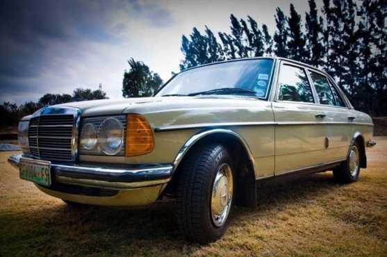 1981 Mercedes Benz 240D