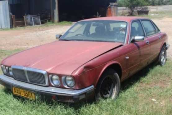 1984 JAGUAR NO PAPERS