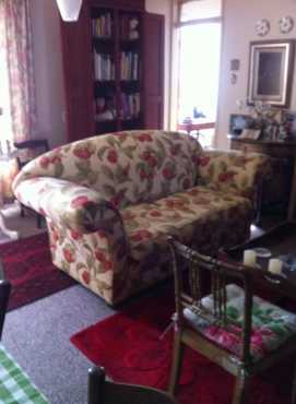 1x Chippendale couch