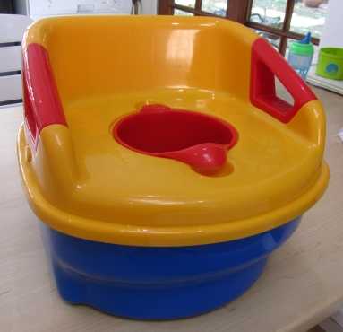 2-in-1 potty