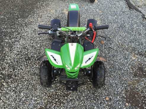 2 stroke petrol kids mini quad bikes on sale