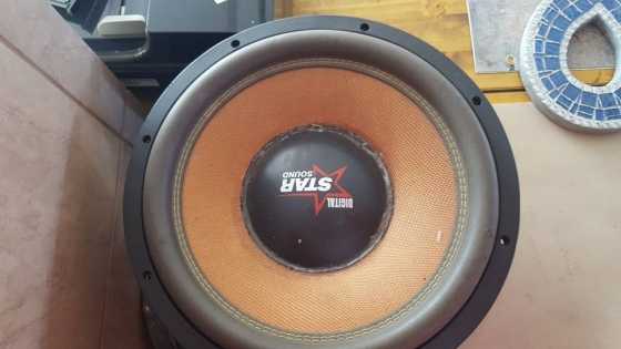 2 x 15quot subwoofer te koop