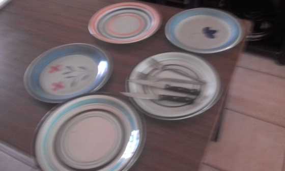 20 Dinner Plates Steak Knifes and Forks