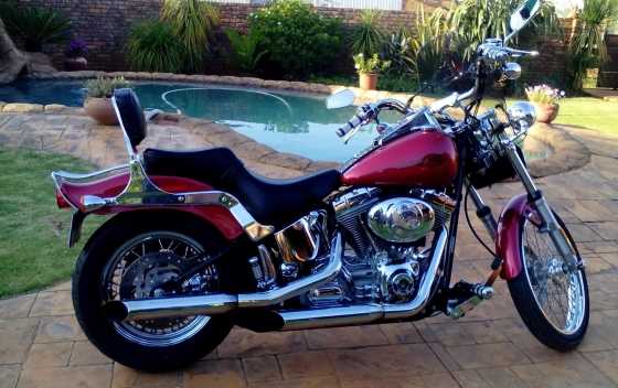 2004 Harley Davidson Softail