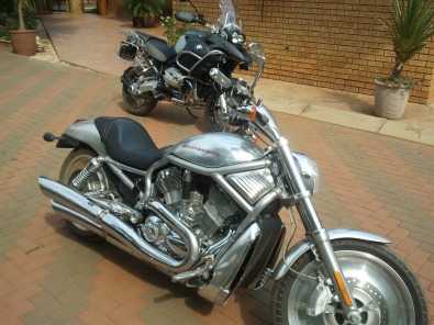 2006 harley davidson vrod