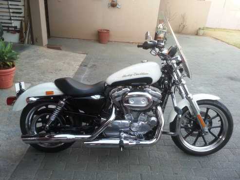 2013 Harley Davidson 883 Sportster For Sale