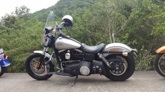 2015 Harley-Davidson Dyna  FXR