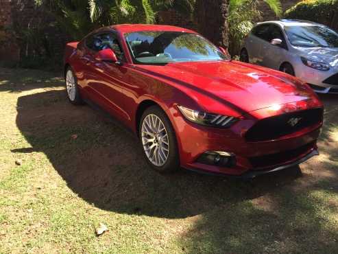 2016 Ford Mustang 2.3L ecoboost fastback manual