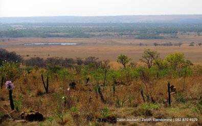 21 ha Indigenous Tree Gem