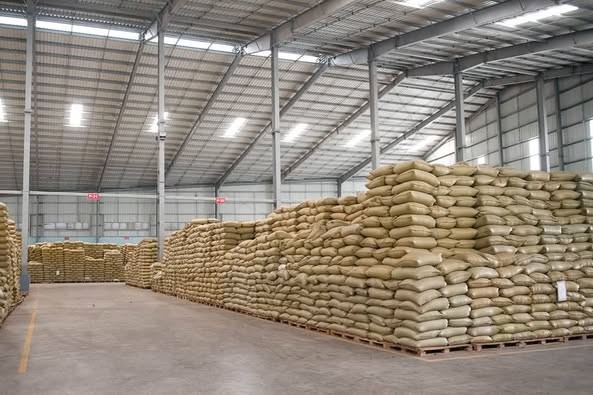UGANDAN ROBUSTA AND ARABICA COFFE BEANS FOR SALE +27719755564