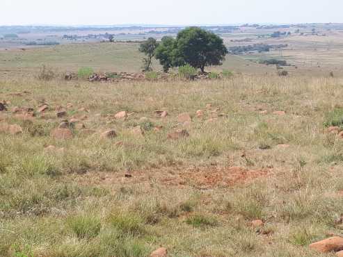 27 HECTARE SMALLHOLDING FOR SALE IN BRONKHORSTSPRUIT AREA.