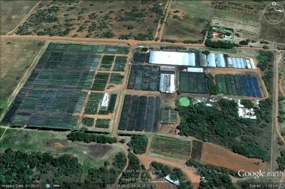 29 ha of bushveld Farm with Micro Farming Vegetable production