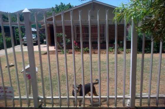 3 Bedroom house to rent in Parktown Estates.