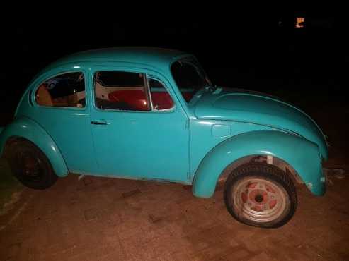 3 vw beetles for sal