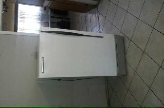 311 L Standing Freezer