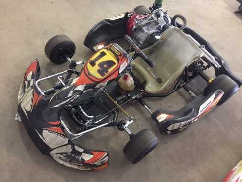 4 Stroke Racing Kart For Sale