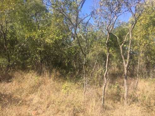 480ha Game Farm Bushveld