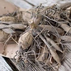 Limpopo's Destroy witchcraft +27735222291 binding love spells -Messina, Mutale, Nkowankowa, Phalaborwa, Soekmekaar, Thabazimbi, Thohoyandou