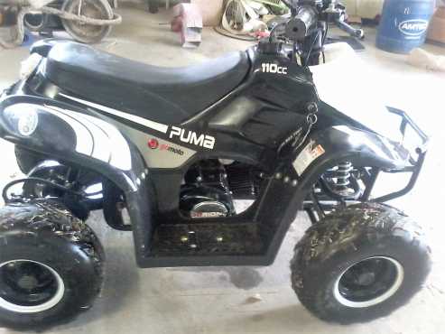 4Wheeler Puma 110cc