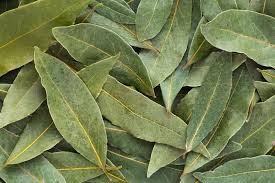 Strongest love spells to bring back ex in South Africa  Quick results love spell South Africa  Lost love sangoma spells South Africa  Traditional healer for love problems South Africa  Bring back your soulmate spell South Africa  Best love spells to 