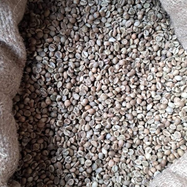Green Coffee beans (Arabica Coffee) Grade: AA, A, and AB+27719755564