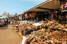 Business Money Spell by Dr. Esatu Attract Wealth, Prosperity & Continuous Cash Flow Spiritually Are you running a business that’s not growing fast enough? Do you feel like money enters your hands but disappears quickly?  Thank you for reading this po