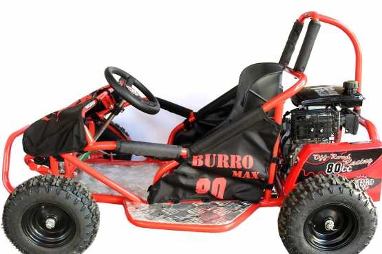 80cc 4 stroke petrok go karts on sale for kids - NEW