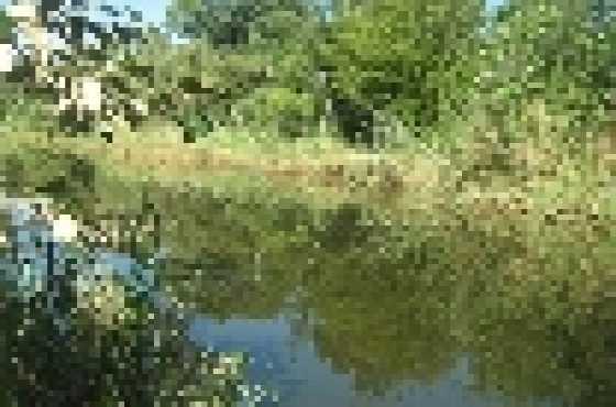 8,5 Hectare with RIVERFRONT 10 min from Kolonade