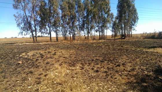 860 Square meter serviced land in Aston Lake, Springs