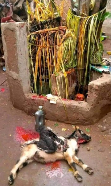 The Most Powerful SpirItual Herbalist Native Doctor IN Nigeria+2348117855171