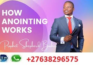 IVP Prophet Shepherd Bushiri contact+27638296575