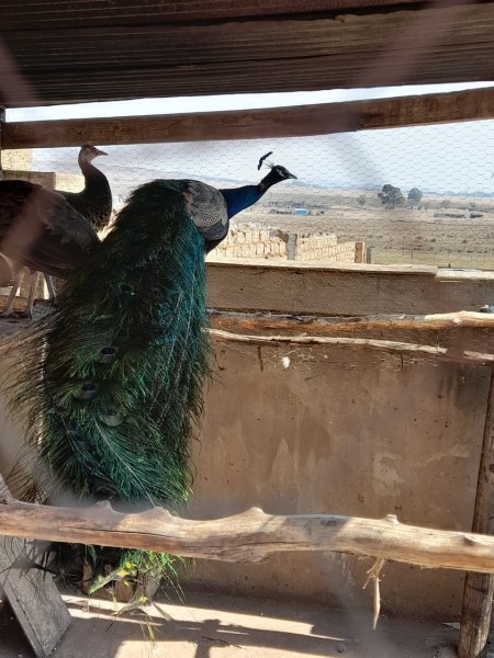 How to Become Financially Stable with Powerful moneyspells 0786424147