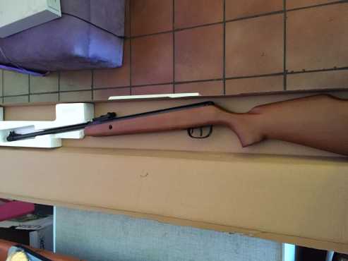 Air Rifle