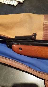 Air Rifle